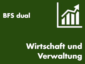 0411 BFS dual - Wirtschaft und Verwaltung - Wirtschaft und Verwaltung